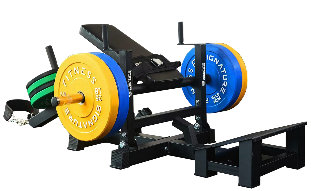 Gesäß & Hip-Thrust-Maschine.