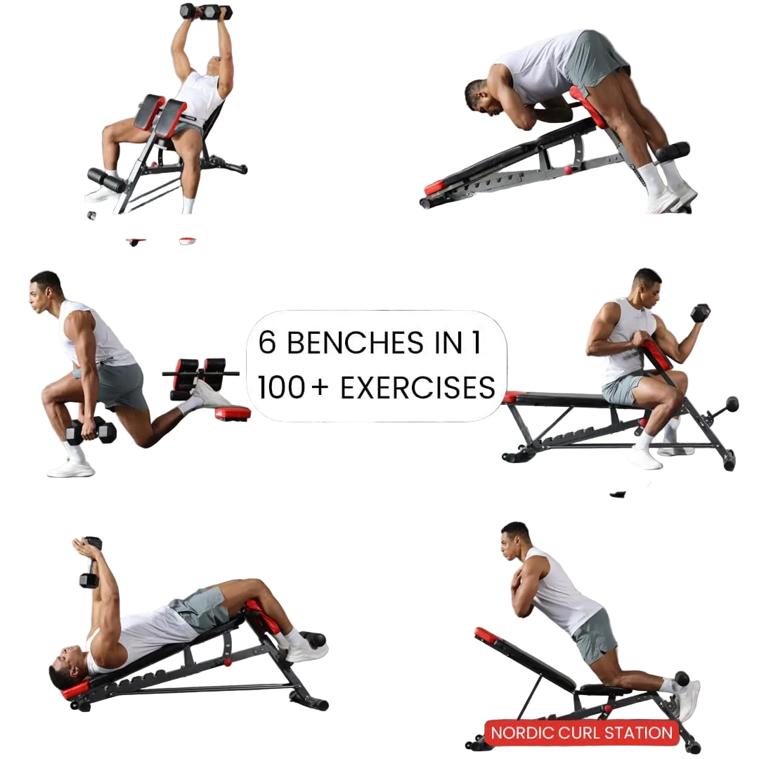 Bench for Full All-In-One Body Workout