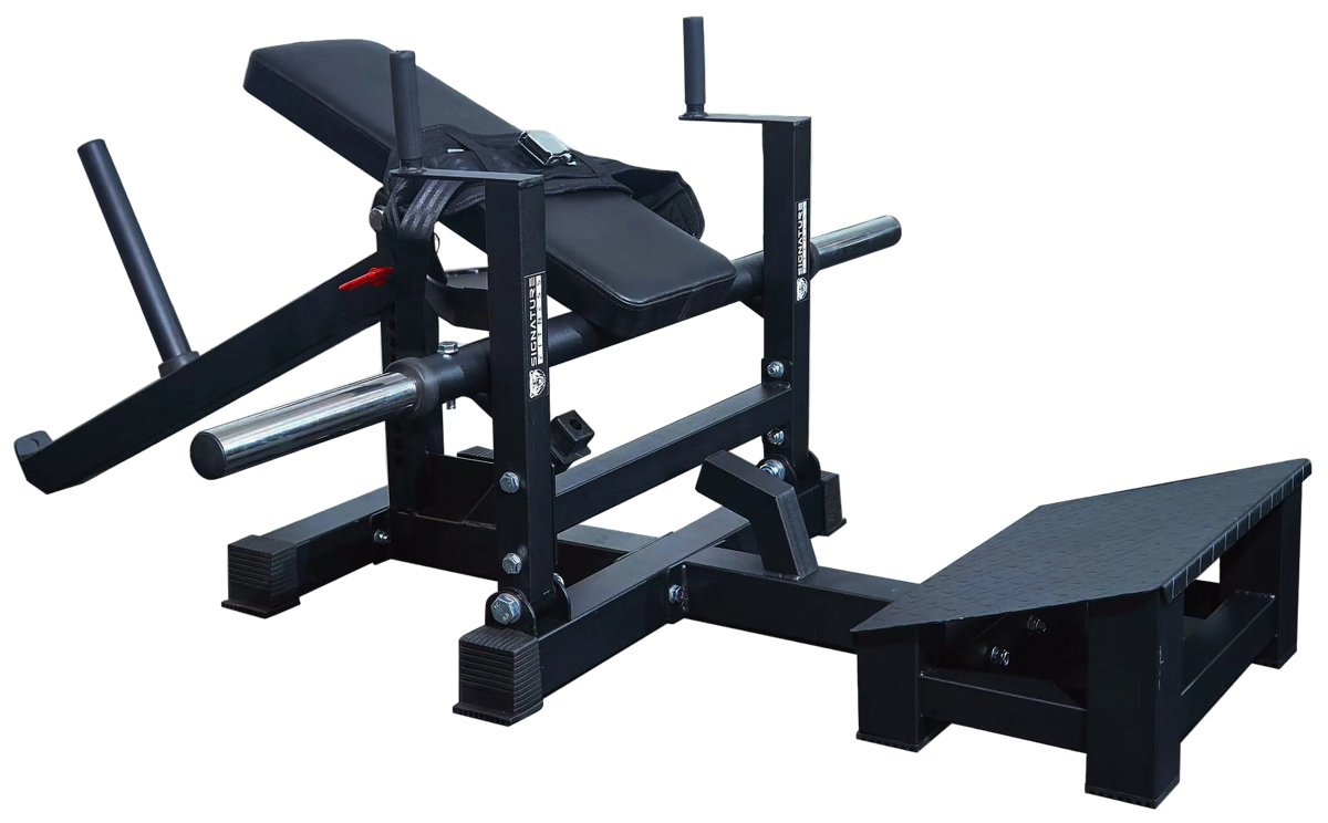 Gesäß & Hip-Thrust-Maschine.